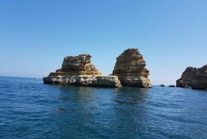 Lagos: Ponta da Piedade Coastline Tour