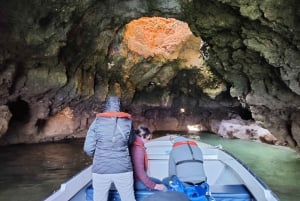 Lagos: Ponta da Piedade Coastline Tour