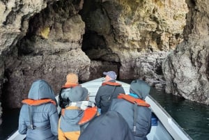 Lagos: Ponta da Piedade Grotto 1-Hour Tour with Local Guide