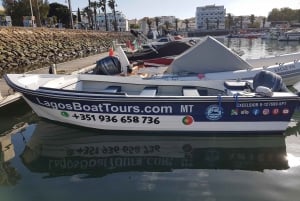 Lagos: Ponta da Piedade Grotto 1-Hour Tour with Local Guide