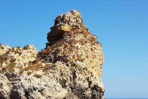 Lagos: Ponta da Piedade Grotto 1-timmes tur med lokal guide
