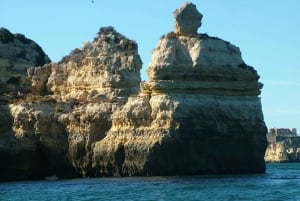 Lagos: Ponta da Piedade Grotto 1-timmes tur med lokal guide