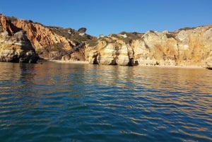 Lagos: Ponta da Piedade Grotto 1-timmes tur med lokal guide