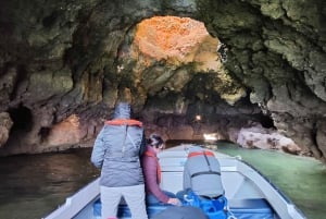 Lagos: Ponta da Piedade Grotto 1-timmes tur med lokal guide