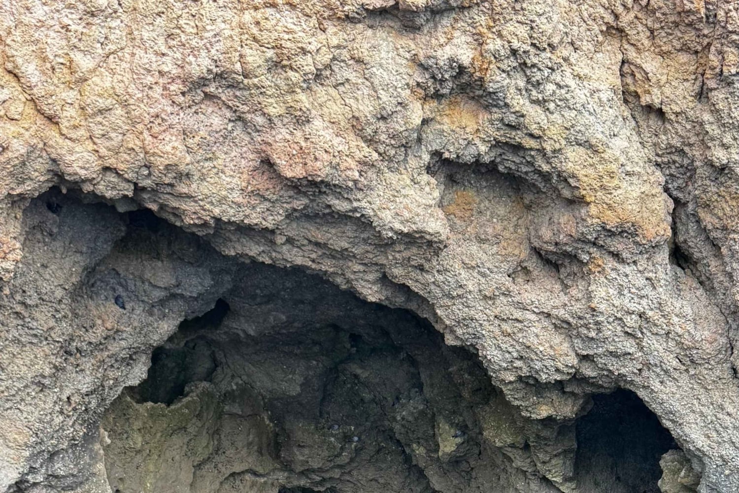 Lagos: Ponta da Piedade Sunset Boat Tour