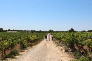 Lagos/Praia da Luz: Wine Tour, Tastings, Tapas, and Music