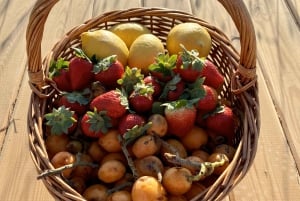 Lagos/Praia da Luz: Tour de vinhos, degustações, tapas e música