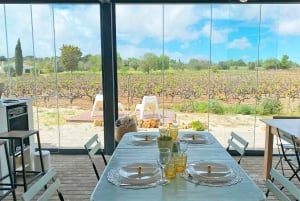 Lagos/Praia da Luz: Tour de vinhos, degustações, tapas e música