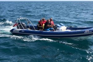 Lagos: Private Powerboat Tour to Ponta da Piedade and more