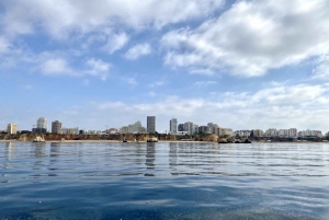 Lagos: Scenic Cruise to the Benagil and Carvoeiro Caves