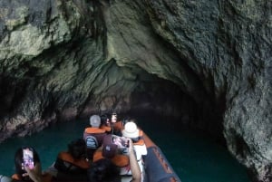 From Lagos: Scenic Cruise to the Benagil and Carvoeiro Caves