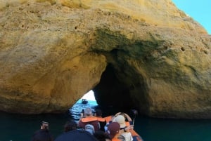 From Lagos: Scenic Cruise to the Benagil and Carvoeiro Caves