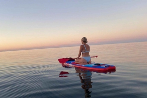 Lagos: Aluguer de pranchas de Stand-Up Paddle