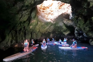 Lagos: Stand Up Paddle Board-tur i 'Ponta Da Piedade'