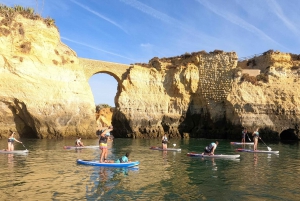 Lagos: Stand Up Paddle Board-tur i 'Ponta Da Piedade'