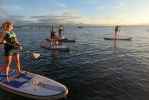 ラゴス：ポンタ・ダ・ピエダーデでスタンドアップパドルボードツアーをお楽しみください