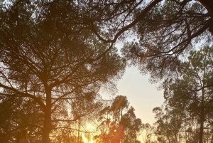 Lagos: ioga ao amanhecer ou ao entardecer e cerimónia do cacau