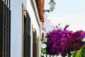 Lagosista Sagresiin Rannikko ja kaupunki Yksityinen opastettu kierros