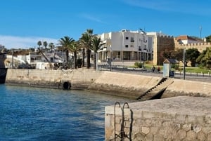 Lagosista Sagresiin Rannikko ja kaupunki Yksityinen opastettu kierros