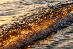 Lagos to Sagres Full-Day Guided Tour