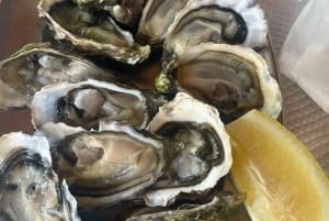 Lissabon: Algarve 3-dagars resa för seniorer med hotell och lunch