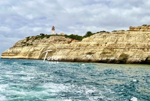 Lisbon: Algarve, Benagil Cave, Algar Seco & Lagos, Day Trip
