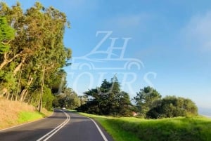 lisbon: algarve, benagil cave, portimao, Lagos private tour.