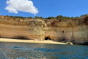 Lisboa: Viagem de 1 dia ao Algarve, gruta de Benagil, Carvoeiro, Portimão