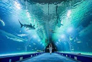 Lissabon: Aussichtspunkte, Azulejo-Museum und Ozeanwunder