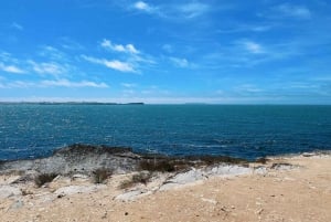 Lissabon: Sintra, Pena, Regaleira, Cabo da Roca och Cascais