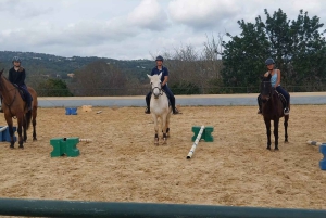 Loulé: Guided Horse Riding in the Hills of salir