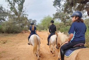 Loulé: Guided Horse Riding in the Hills of salir