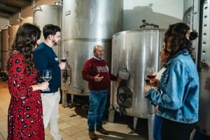 Loulé: Explore the Quinta da Tôr Winery with Wine Tasting