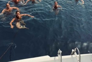 Luxe catamaranvaart langs de kust van de Algarve