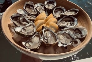 Luxe catamaranvaart langs de kust van de Algarve