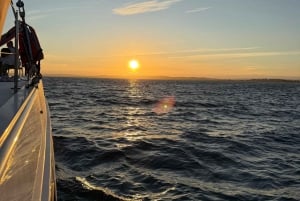 Luxe catamaranvaart langs de kust van de Algarve