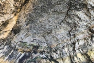 Luxe catamaranvaart langs de kust van de Algarve