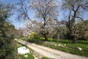 Fremstillet i Algarve