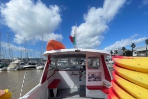 Marina de Lagos: tour in kayak di Ponta da Piedade
