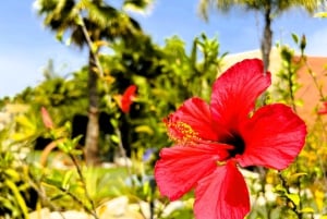 Minigolf Alvor – moro for alle