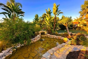 Minigolf Alvor – moro for alle