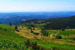 Monchique e Fóia: Tour di mezza giornata
