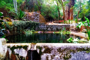 Monchique e Fóia: Tour di mezza giornata