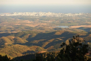 Monchique e Fóia: Tour di mezza giornata