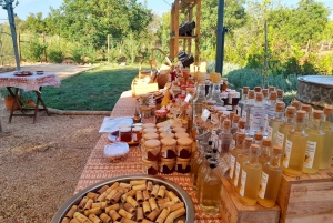 Monchique: Høydepunkter