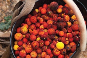 Monchique: Høydepunkter