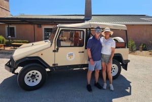 Monterosa Olive Grove: Visit to the Mill & Olive Oil Tasting