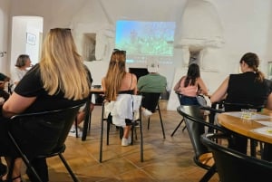 Monterosa Olive Grove: Visit to the Mill & Olive Oil Tasting