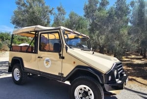 Monterosa Olive Grove: Visit to the Mill & Olive Oil Tasting