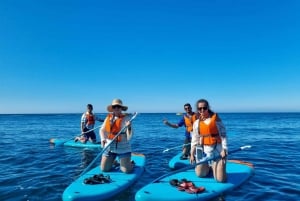 From Faro Adventure at Benagil Cave by 9' Paddle Board